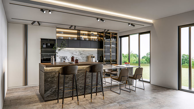 Kitchen Modern interior  0024