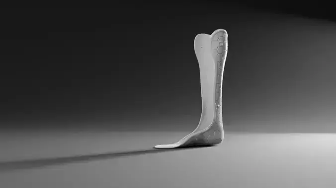 Ankle foot orthotic AFO 3D print model