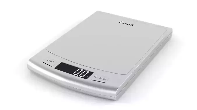 Digital Scale 3D model
