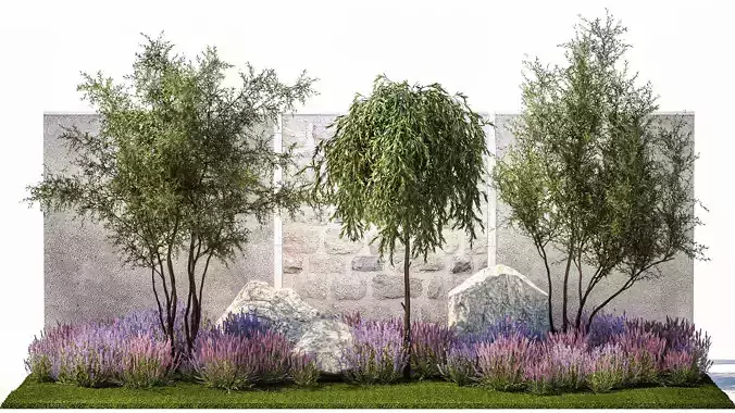 Beautiful garden with Olive Elaeagnus Lavender flowers 1372 3D model