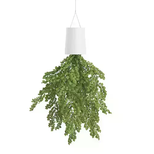 ceiling plant pot
