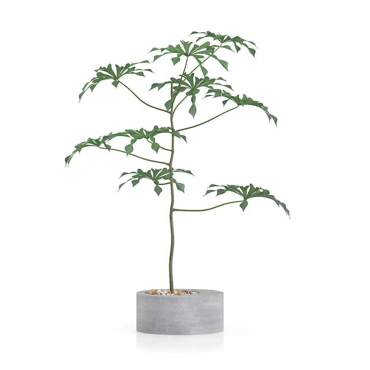 high poly plant 3D model