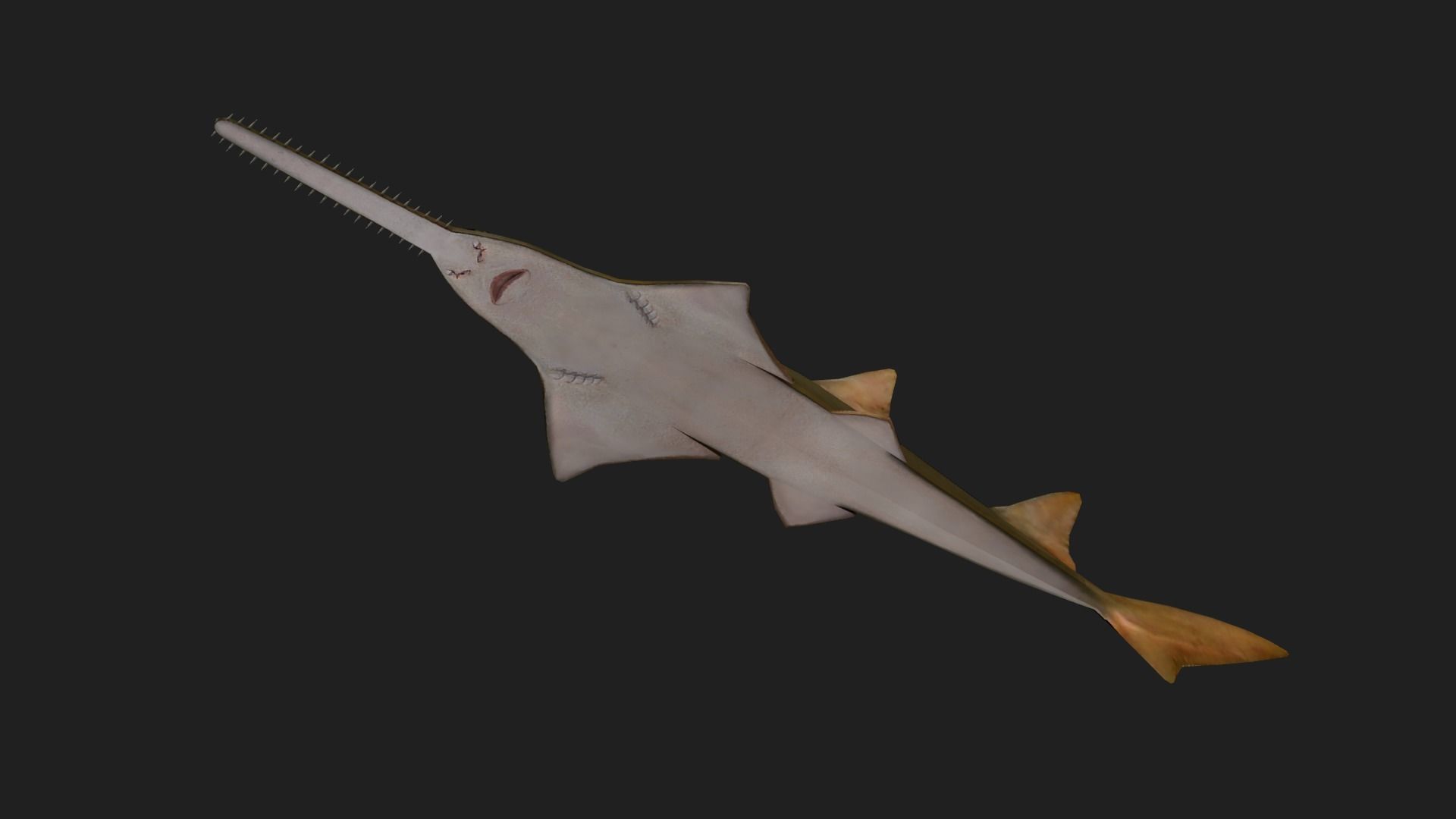 Ray fish Low-poly 3D model_2