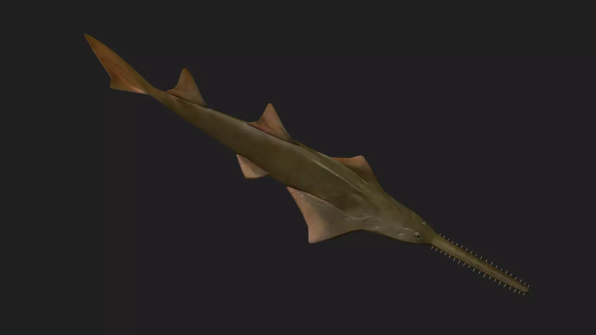 Ray fish Low-poly 3D model_0