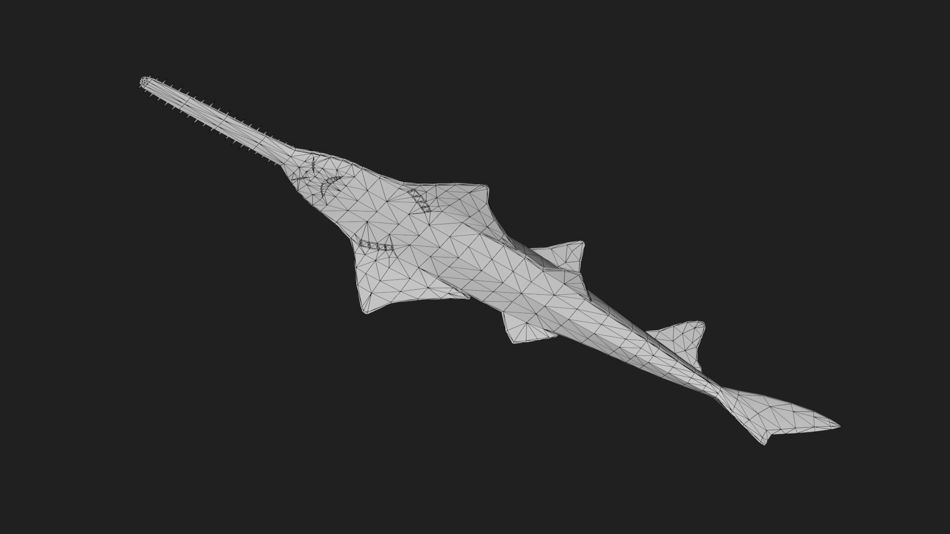 Ray fish Low-poly 3D model_3