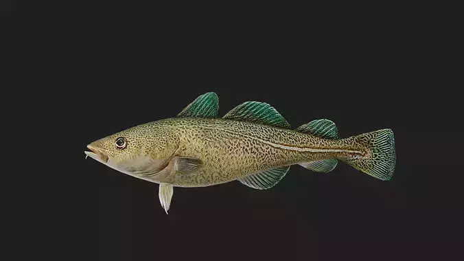 Greenlandcod