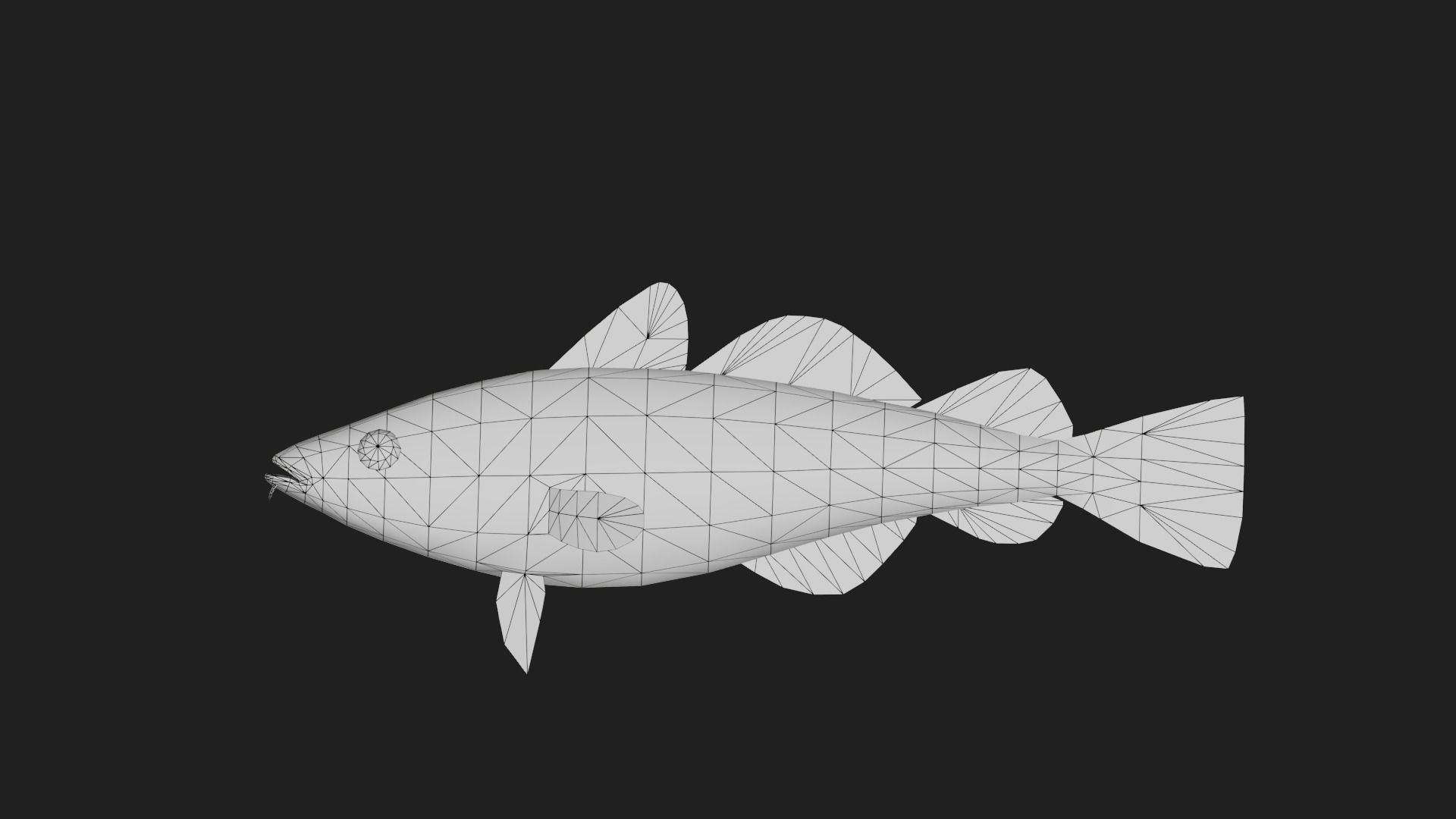 Greenlandcod Low-poly 3D model_1