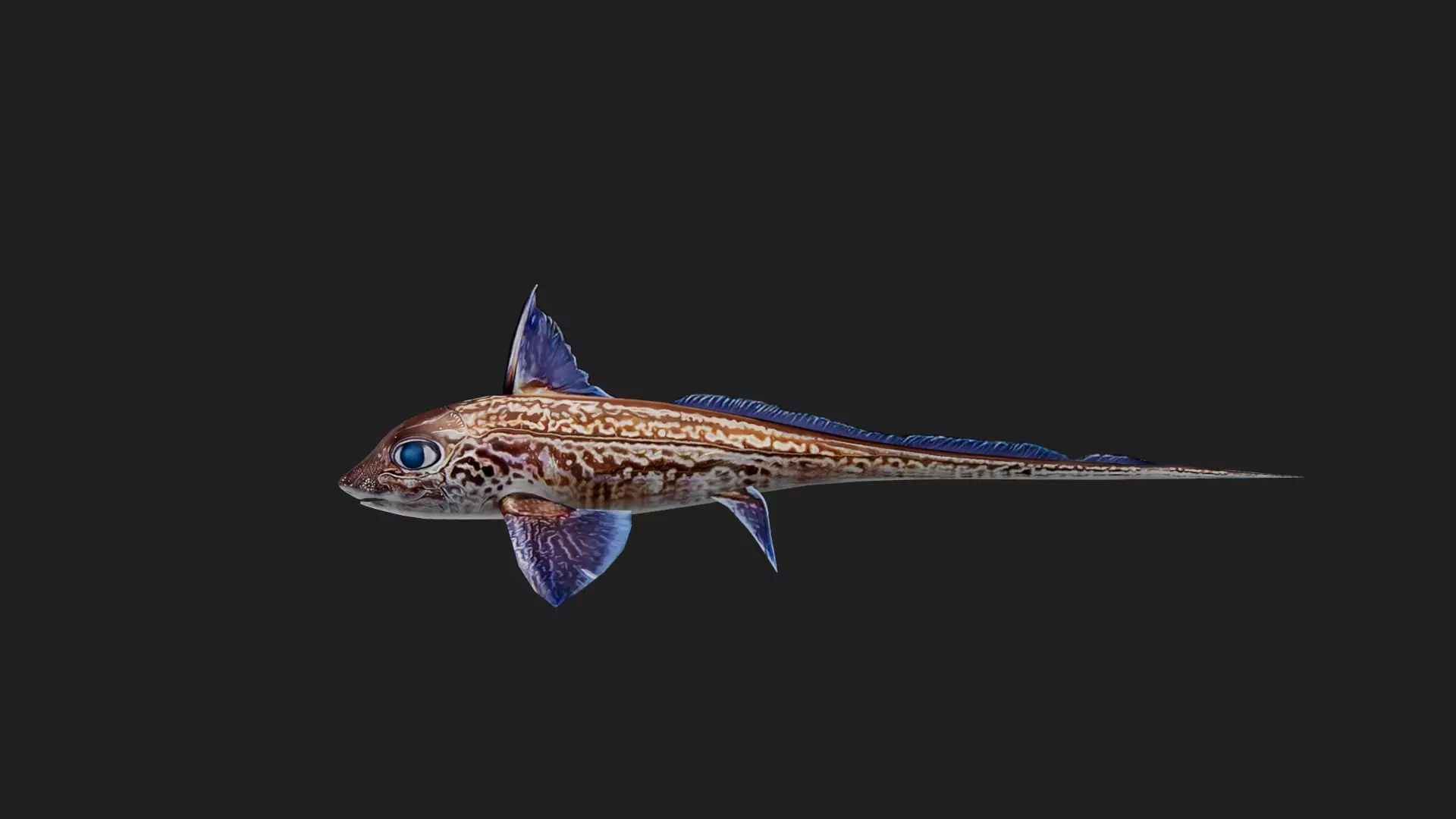 Rabbitfish Low-poly 3D model_0