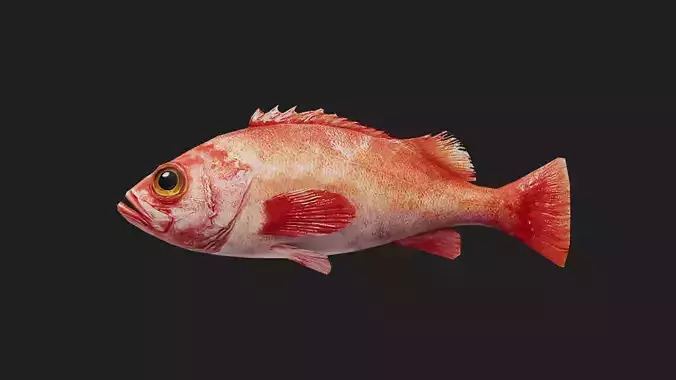 Perch Low-poly 3D model
