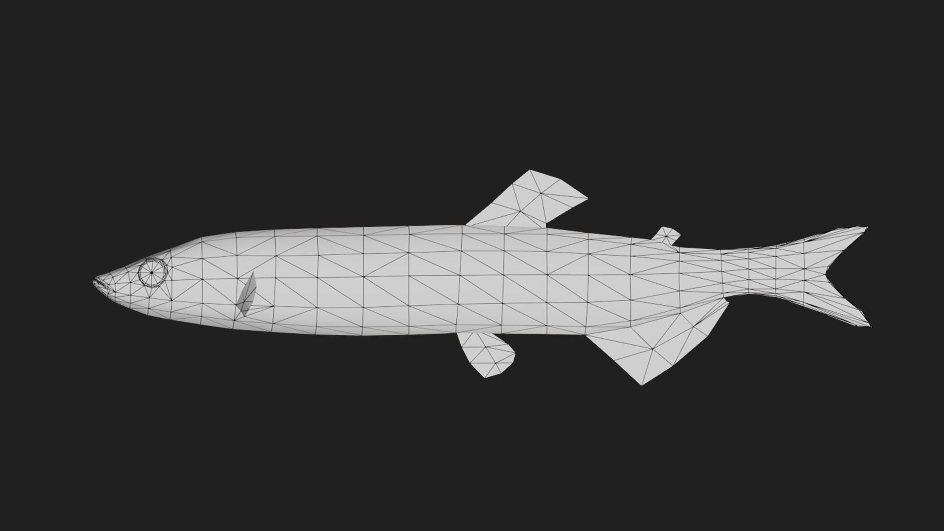 Capelin Low-poly 3D model_1