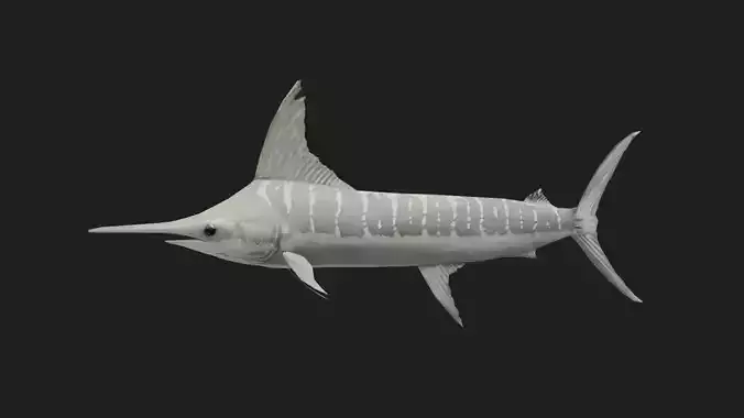 Marlin Low-poly 3D model