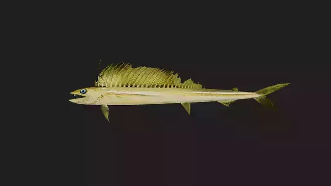 Lancet fish Low-poly 3D model