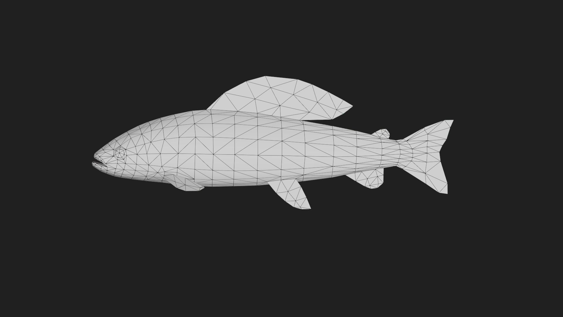 Grayling Low-poly 3D model_1