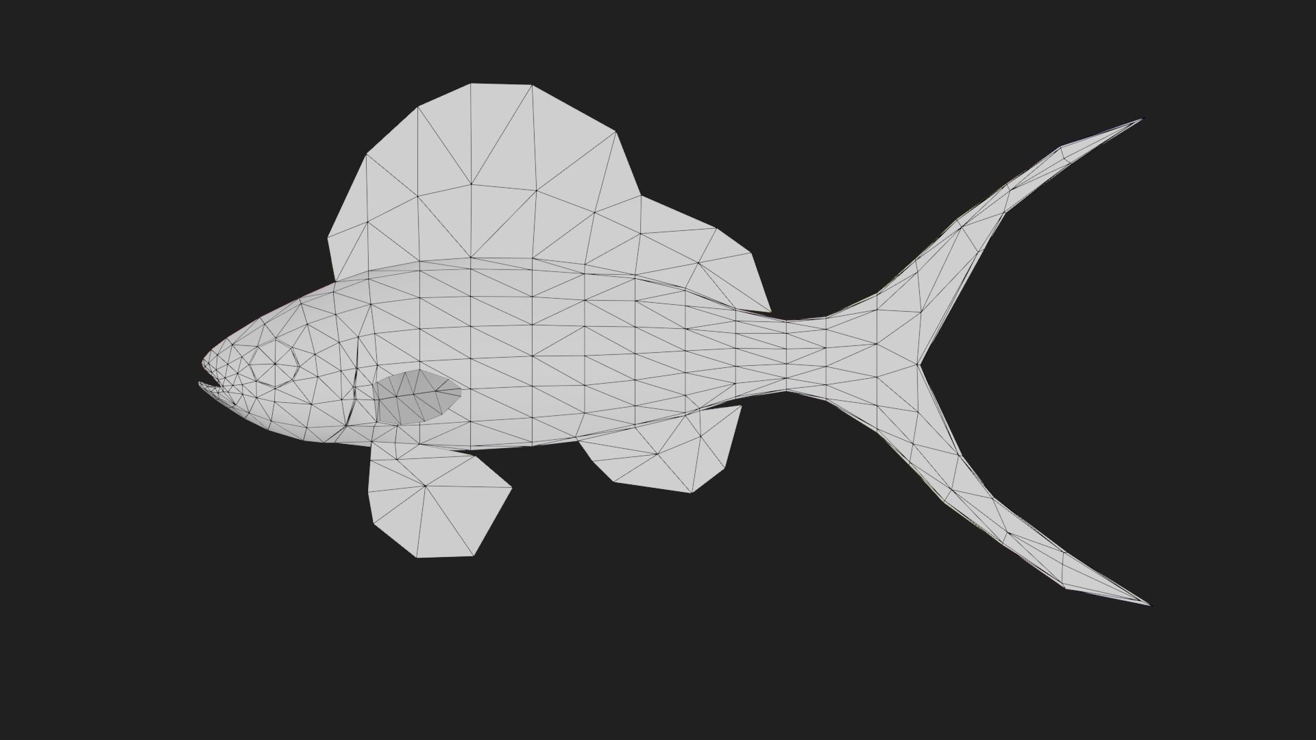 Serranidae Low-poly 3D model_1