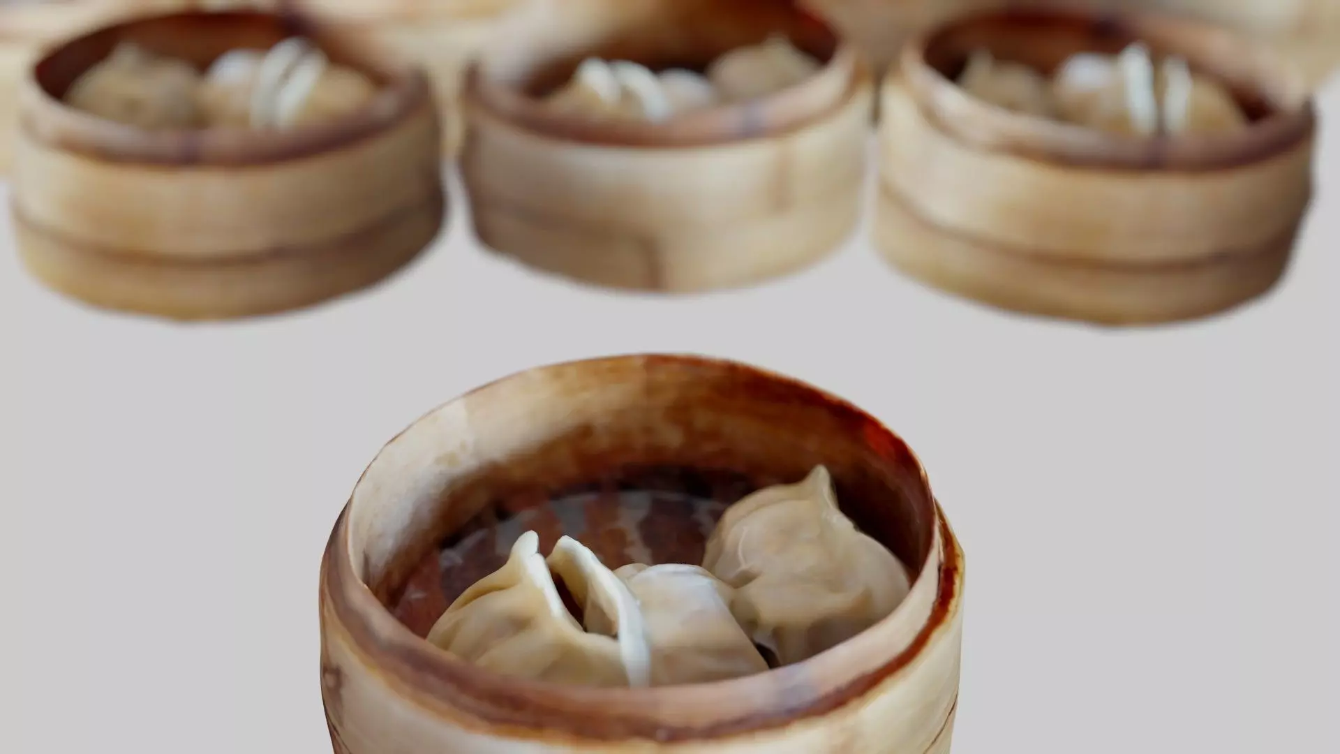 Real Food Wooden Steamer with Gyoza 3D scanned 3D model_0