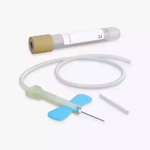Cannula Needle