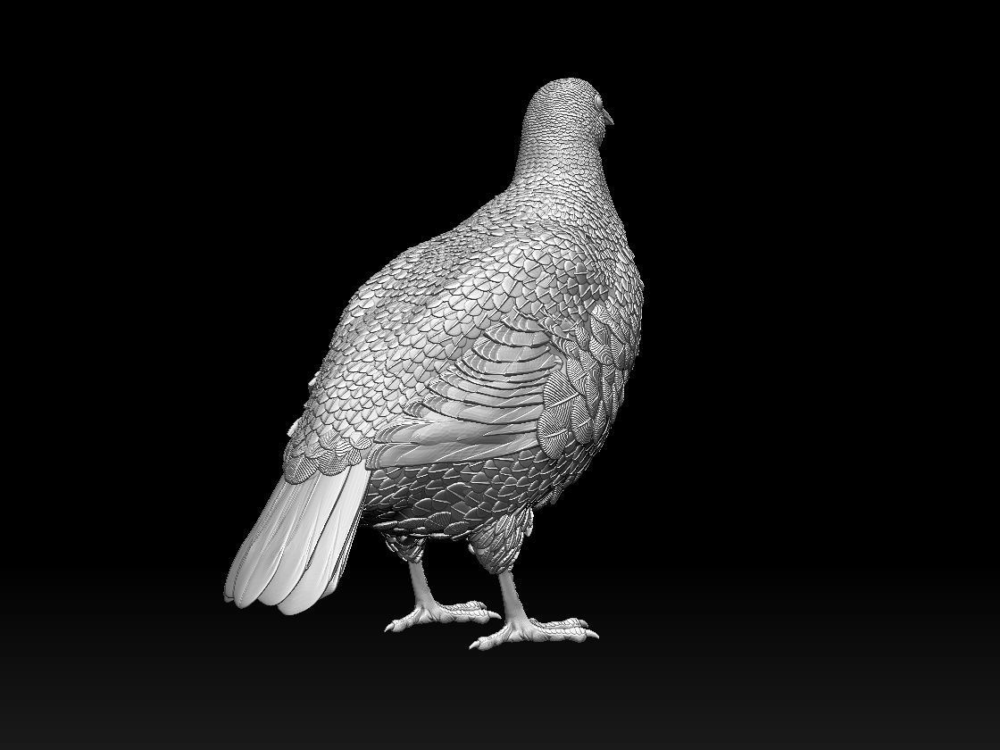 partridge 3D print model_15