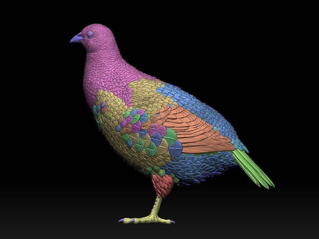 partridge 3D print model_16