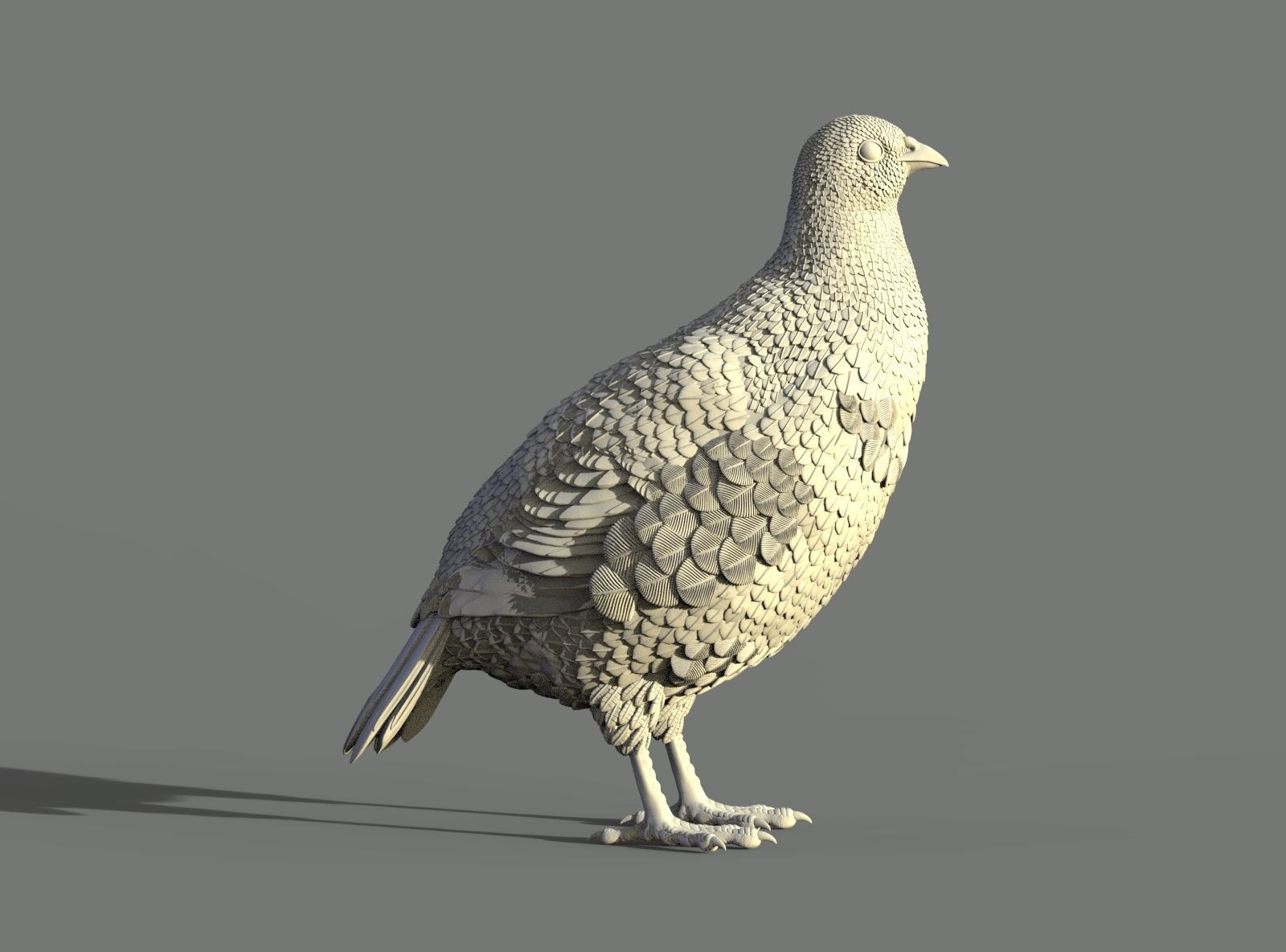 partridge 3D print model_2