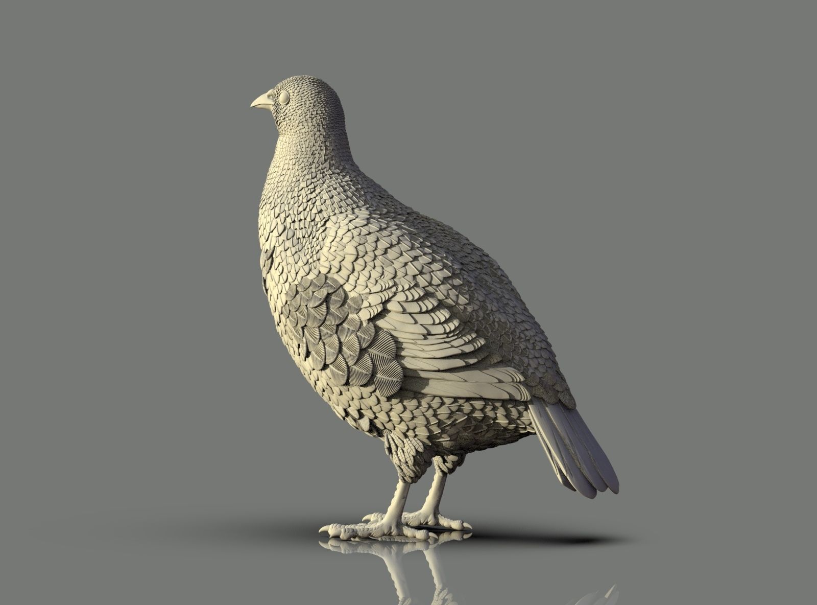 partridge 3D print model_4