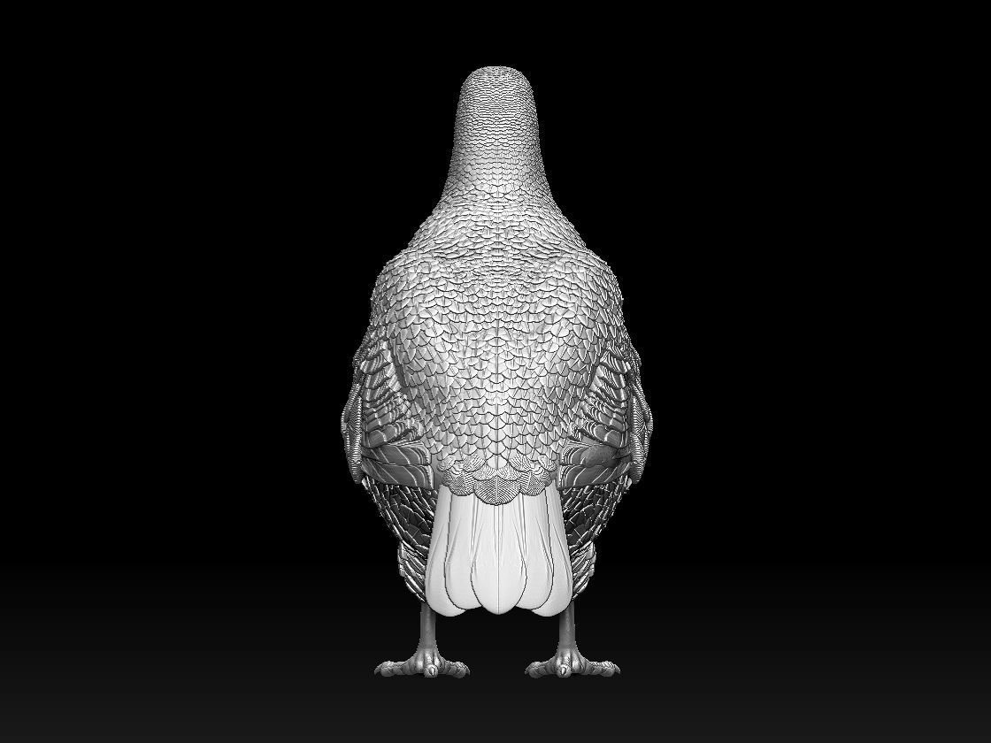 partridge 3D print model_20