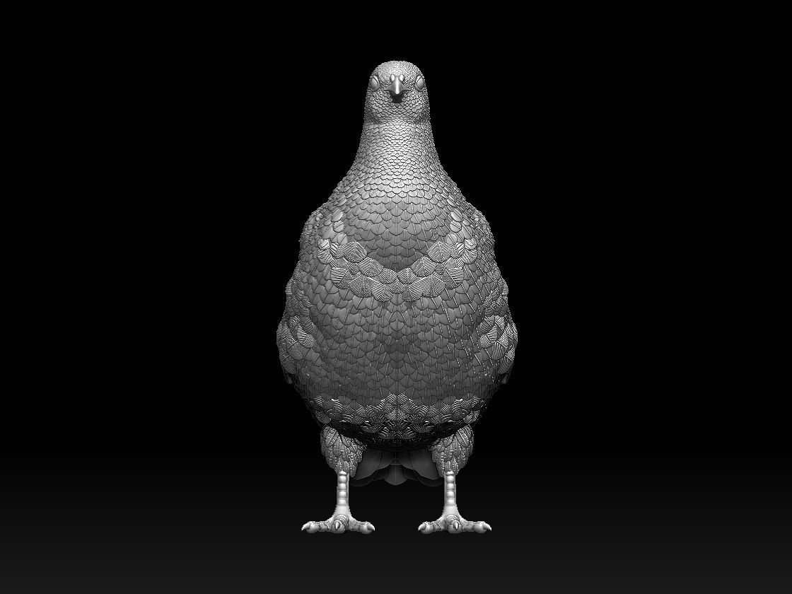 partridge 3D print model_12