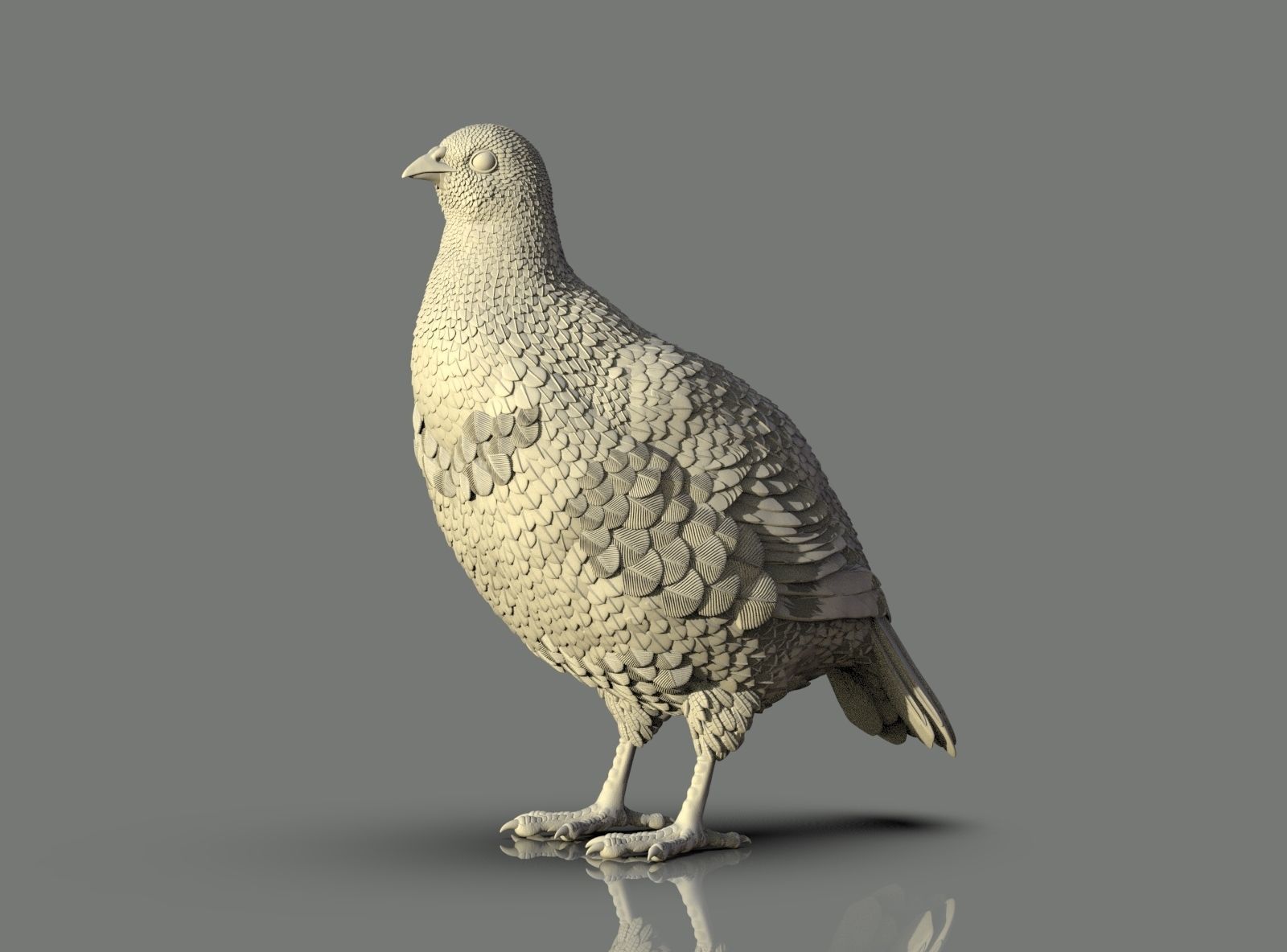 partridge 3D print model_19