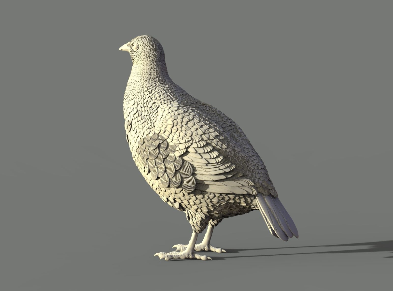 partridge 3D print model_8