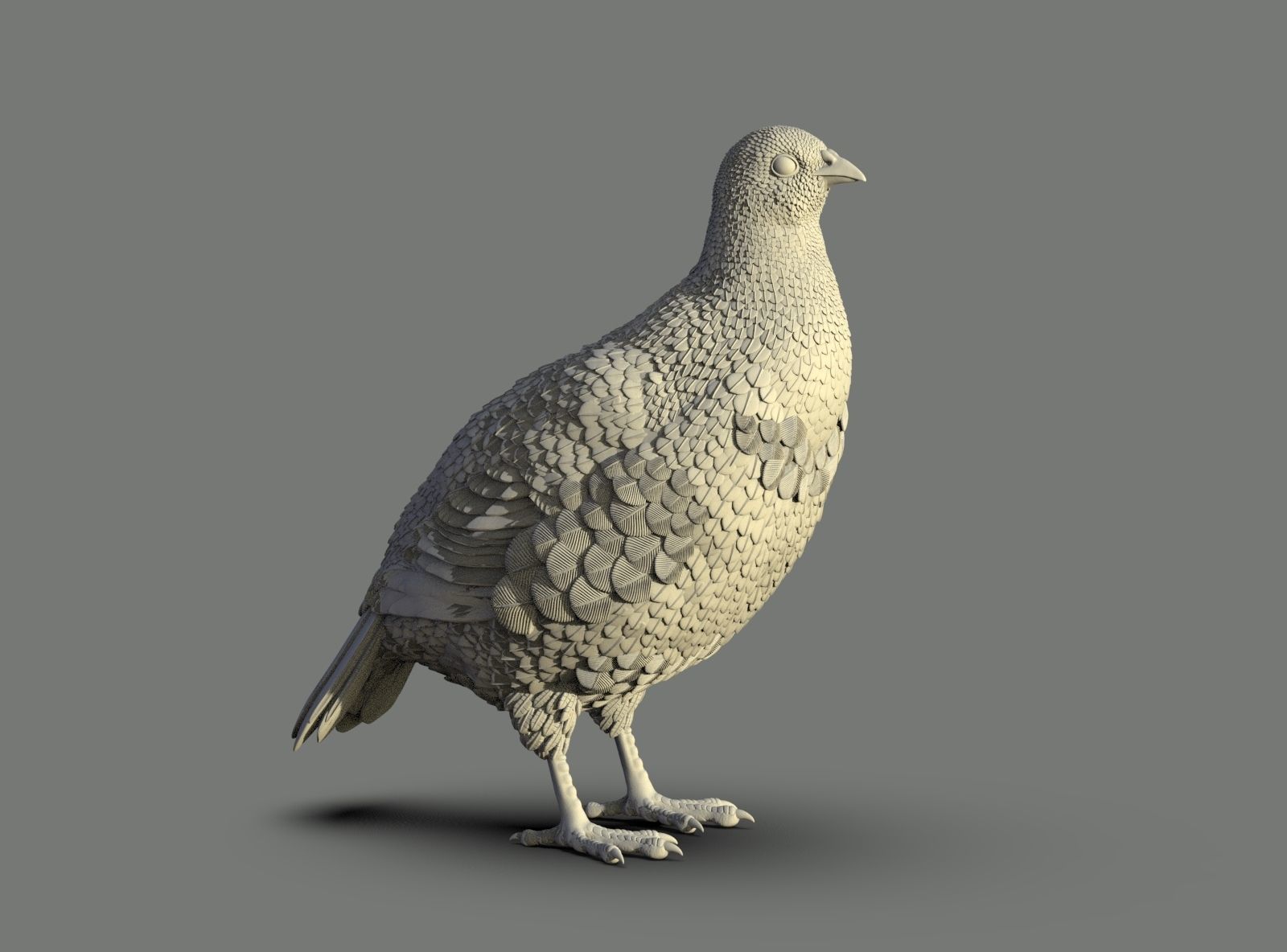 partridge 3D print model_13