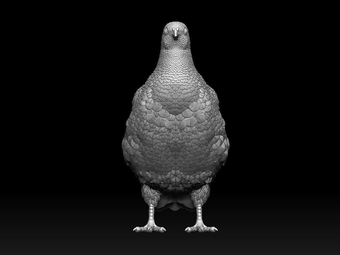 partridge 3D print model_14