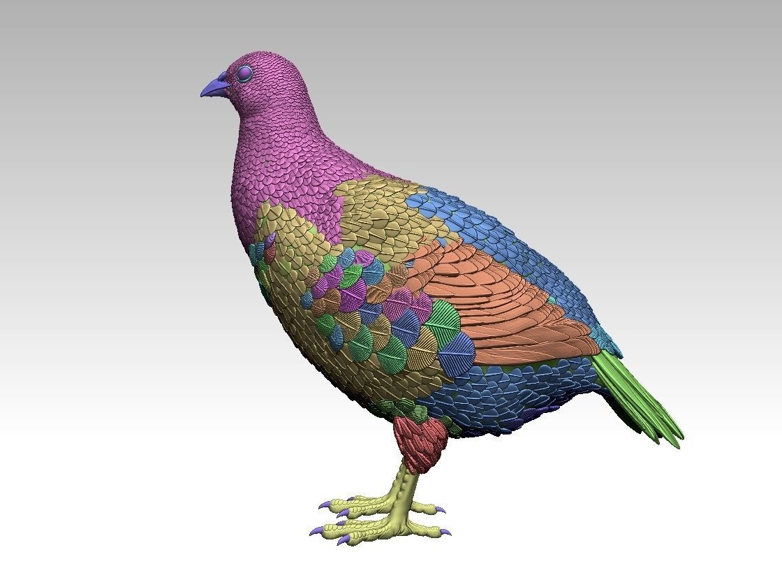 partridge 3D print model_10