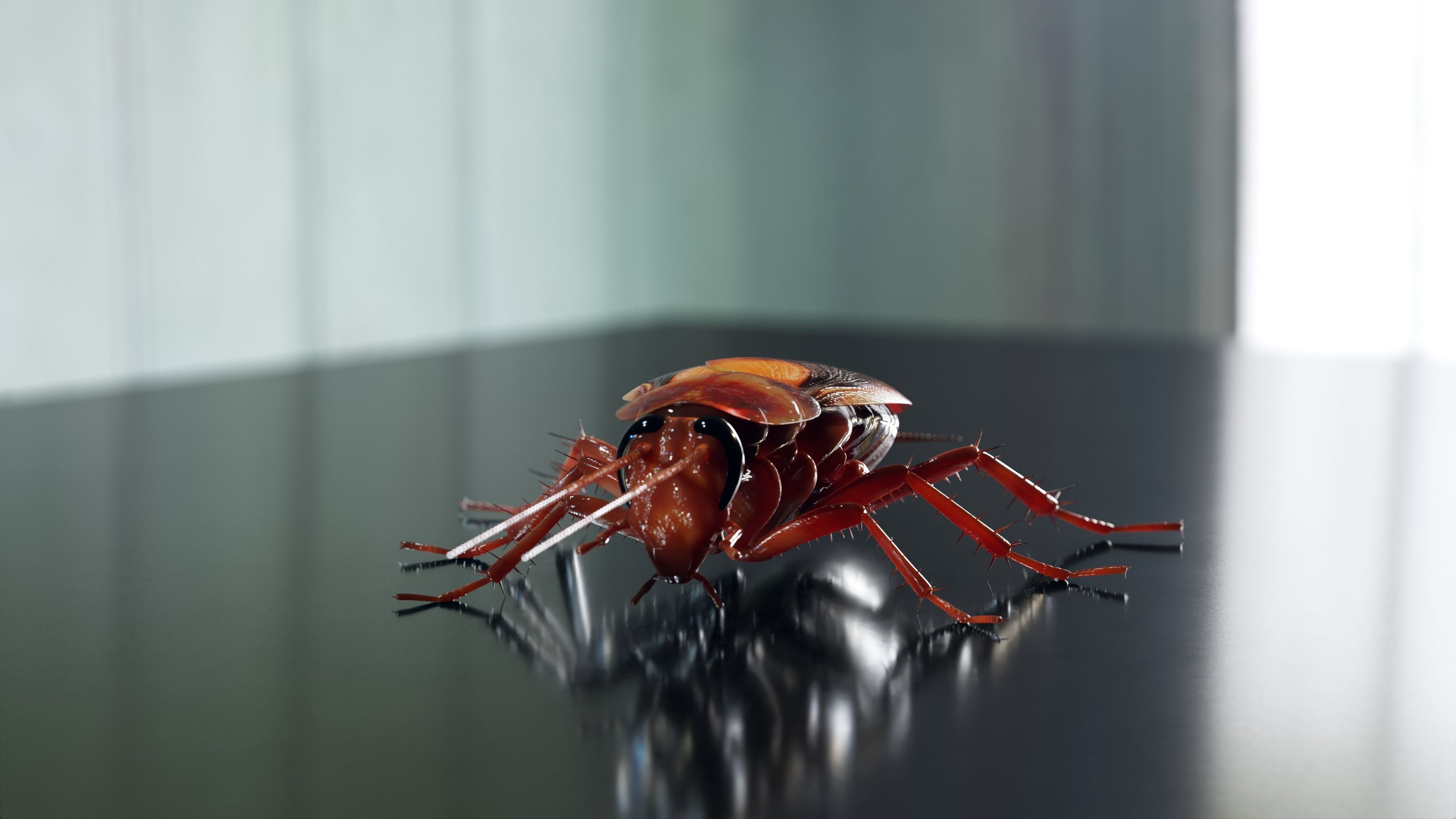 Realistic Cockroach 3D Model Rigged and PBR Textured 3D model_5