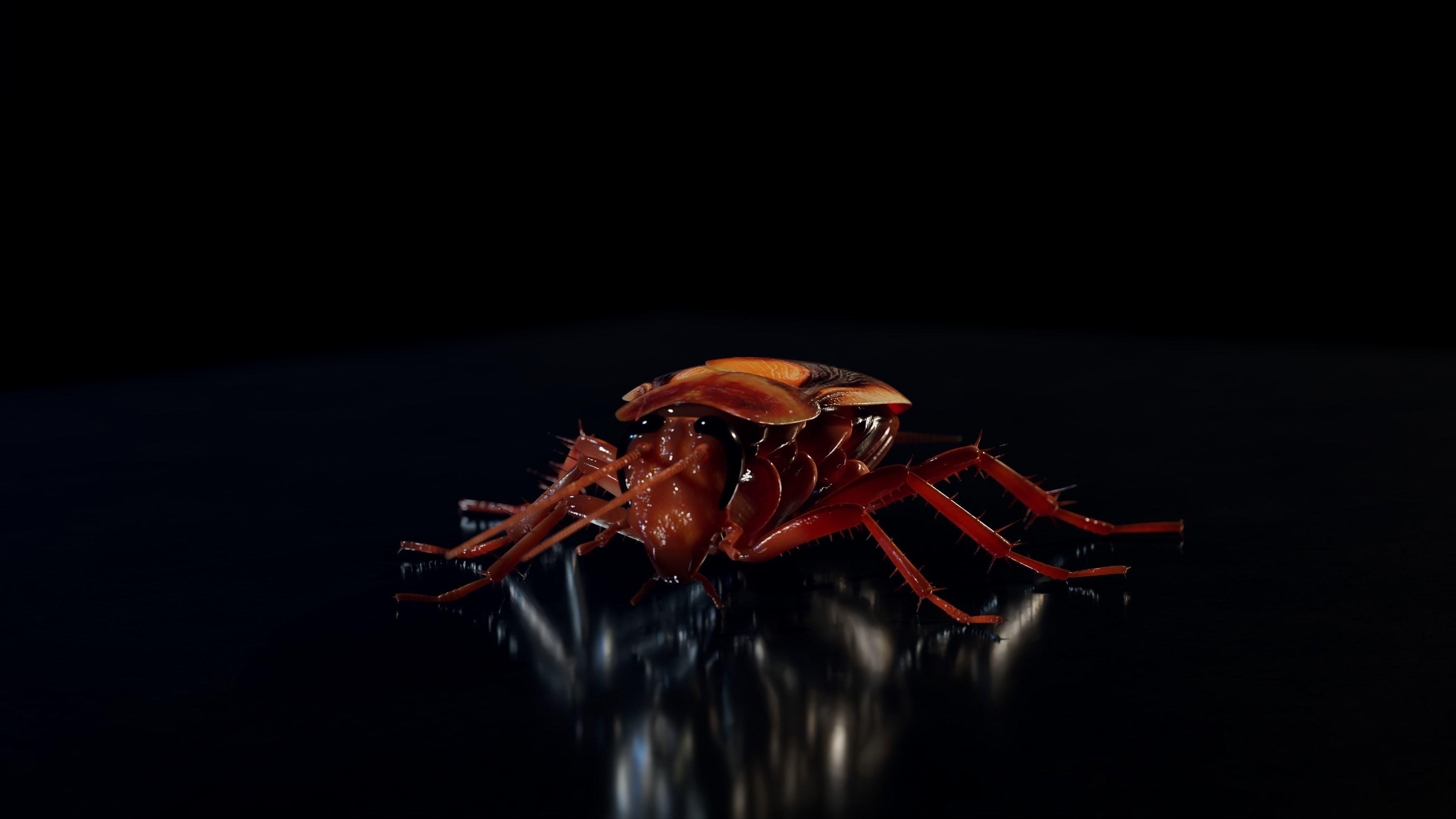 Realistic Cockroach 3D Model Rigged and PBR Textured 3D model_6