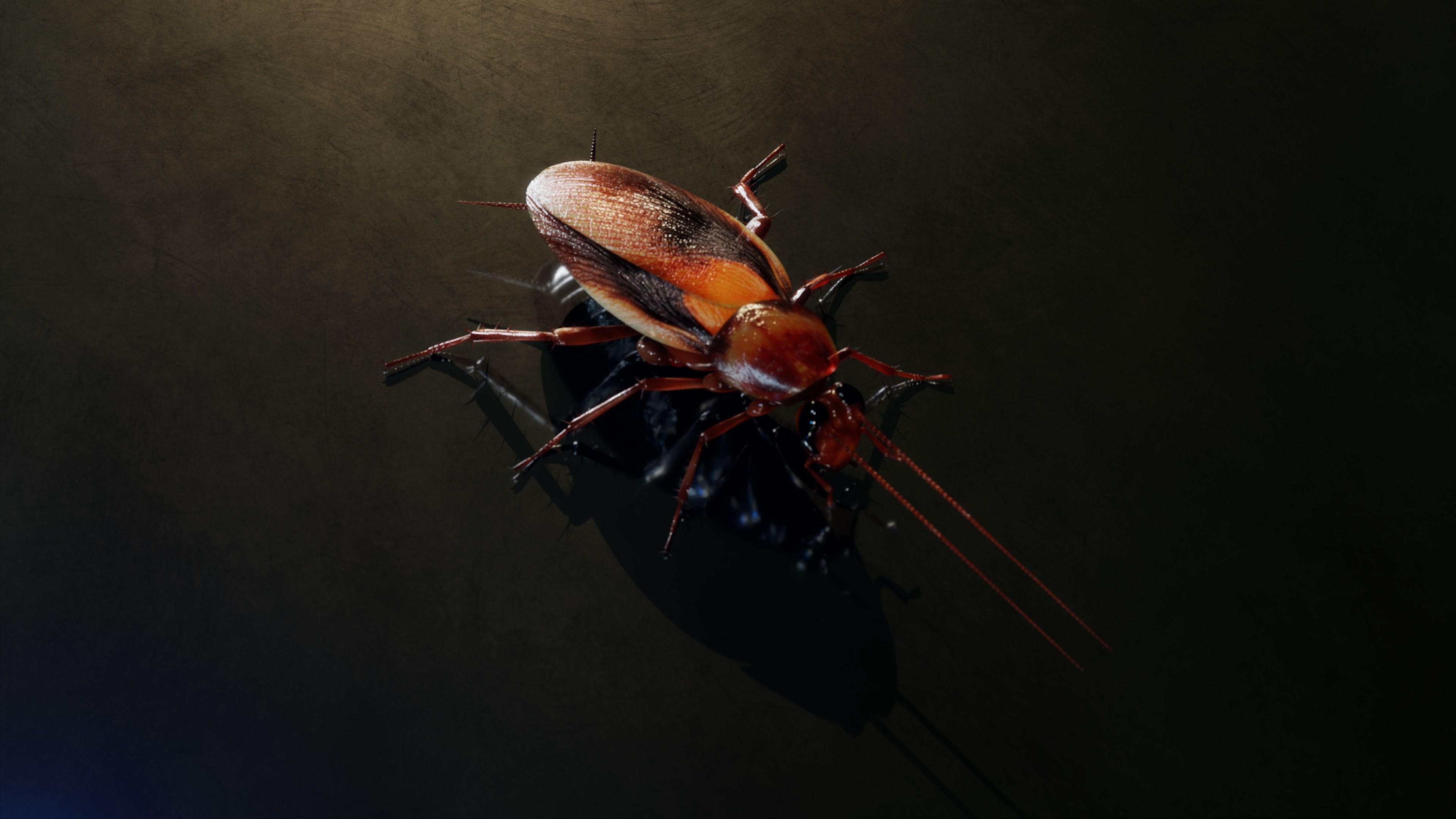Realistic Cockroach 3D Model Rigged and PBR Textured 3D model_4