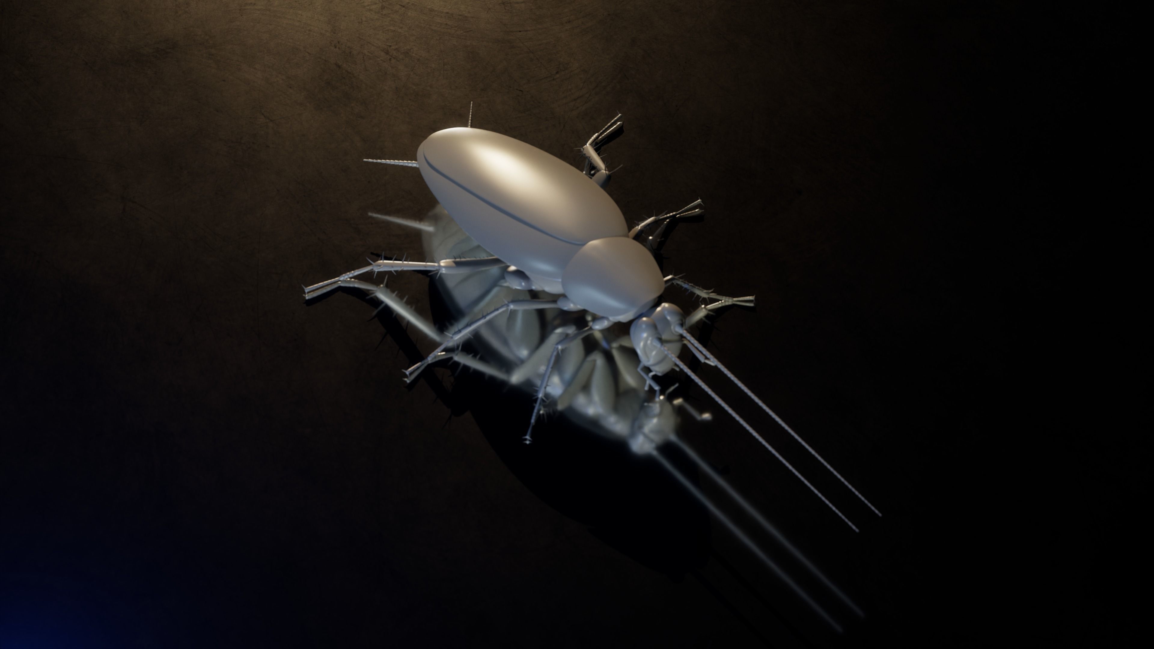 Realistic Cockroach 3D Model Rigged and PBR Textured 3D model_7