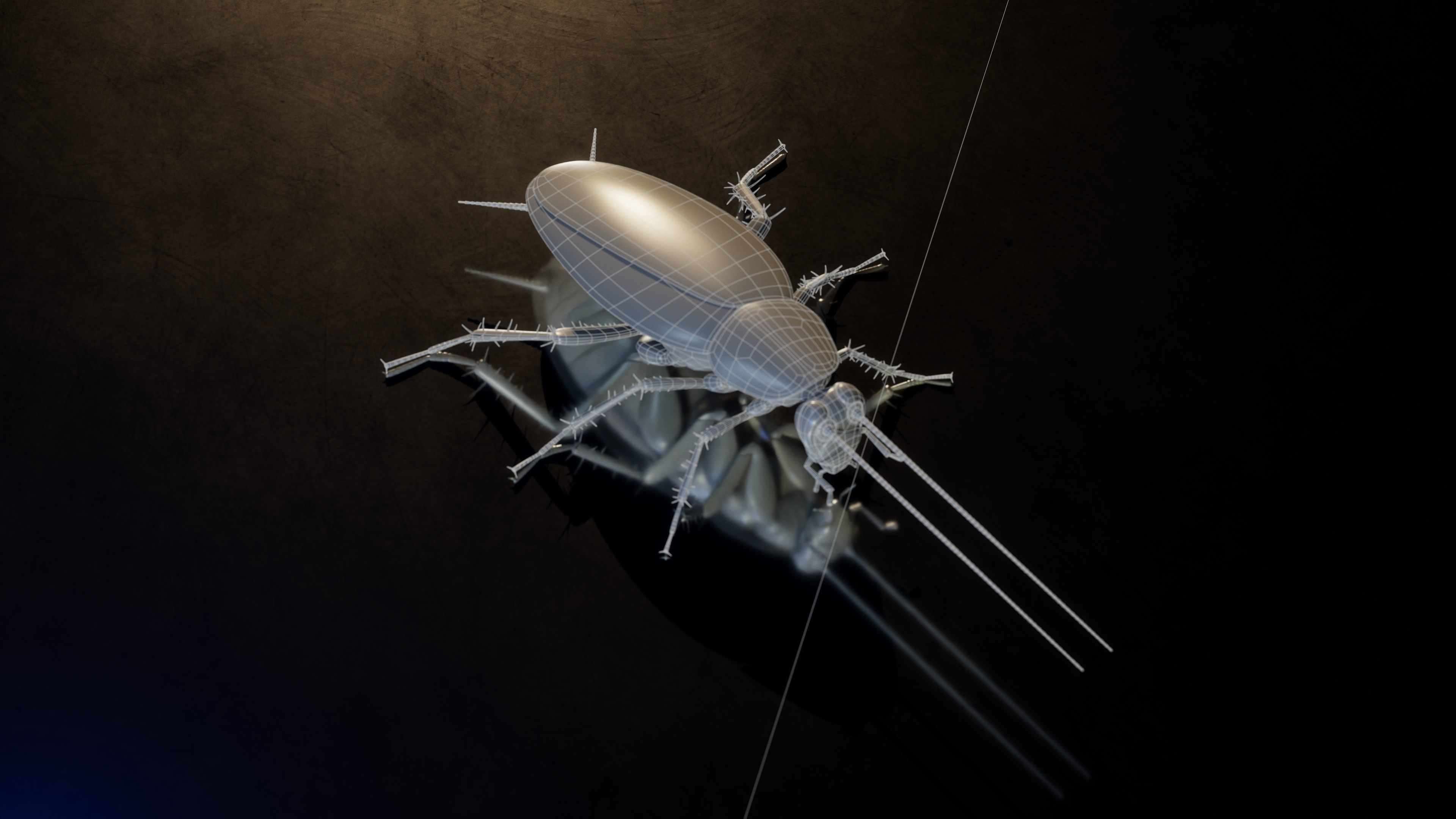 Realistic Cockroach 3D Model Rigged and PBR Textured 3D model_8