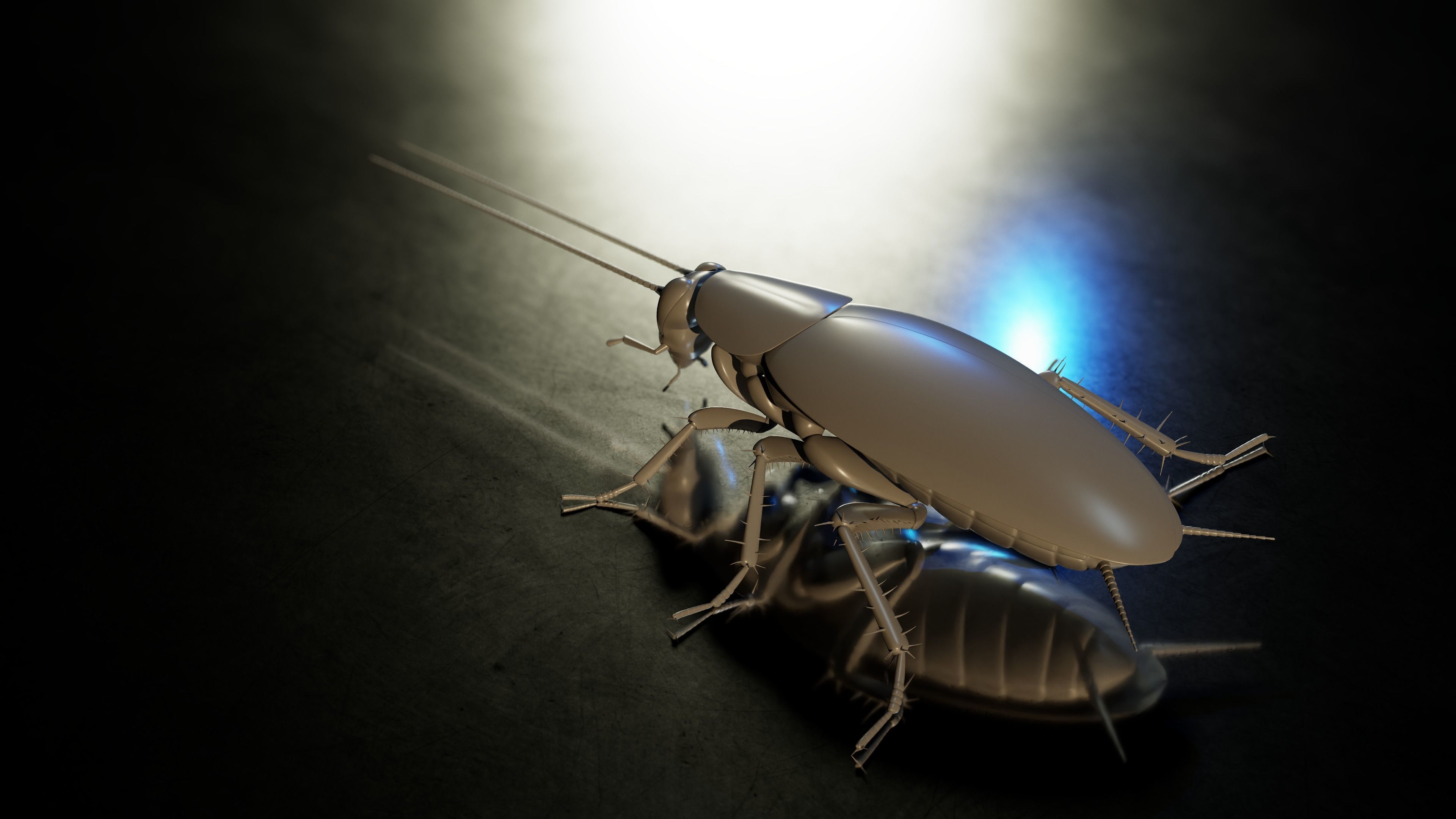 Realistic Cockroach 3D Model Rigged and PBR Textured 3D model_11