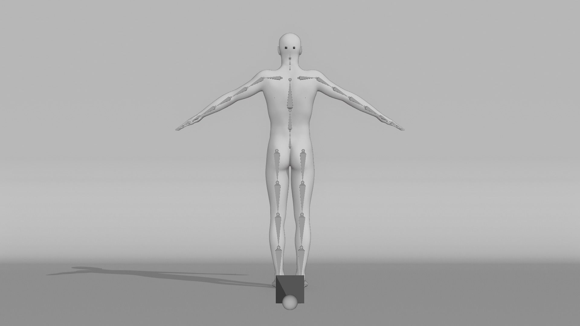 Realistic Male - Renaldo 3D model_13