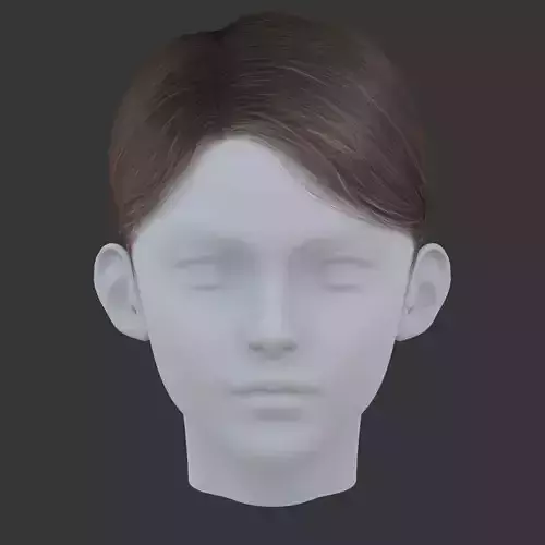 3D Polygon Hair  for game Low-poly 3D model -v2
