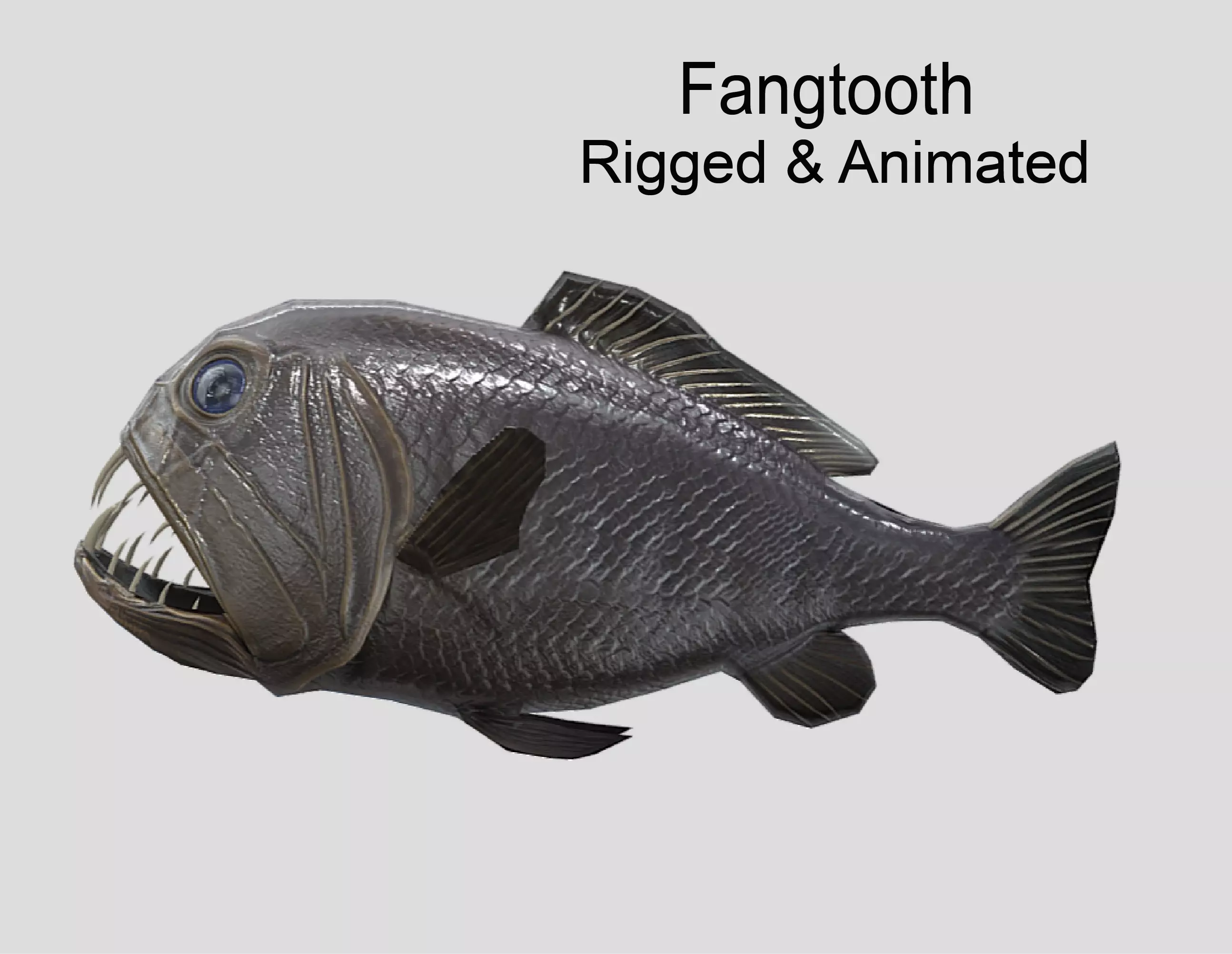 fangtooth Realistic Animated Low-poly 3D model_0