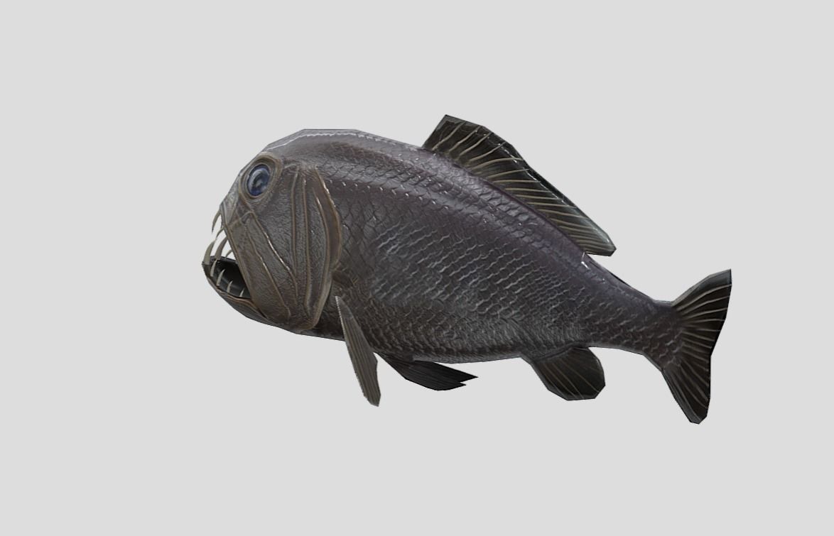 fangtooth Realistic Animated Low-poly 3D model_8