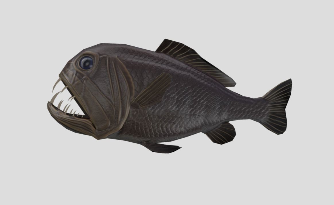 fangtooth Realistic Animated Low-poly 3D model_3