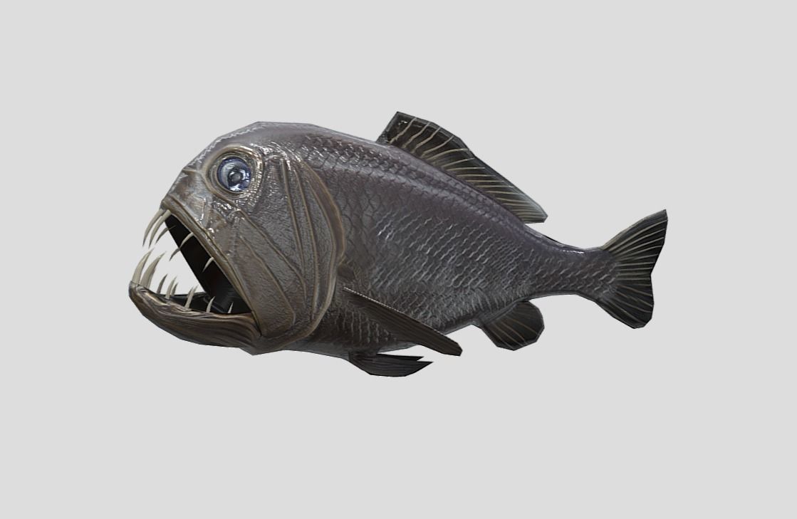 fangtooth Realistic Animated Low-poly 3D model_5