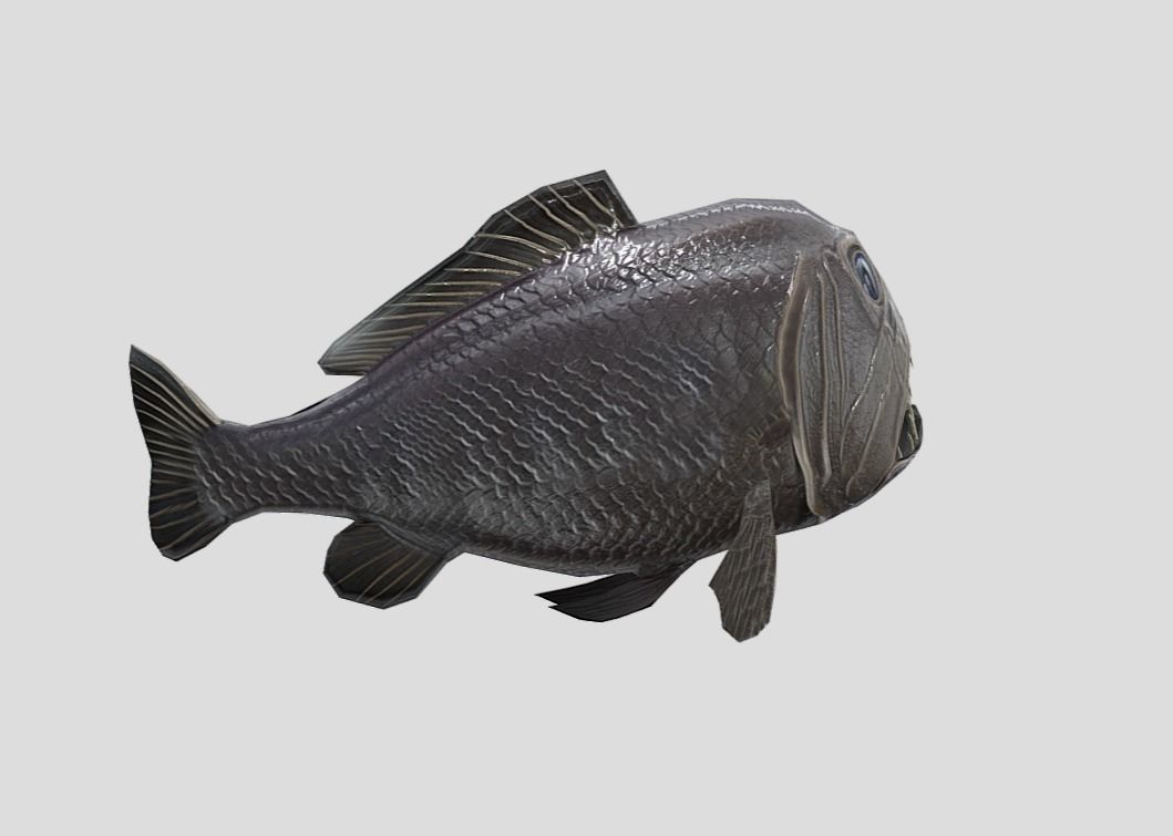 fangtooth Realistic Animated Low-poly 3D model_9