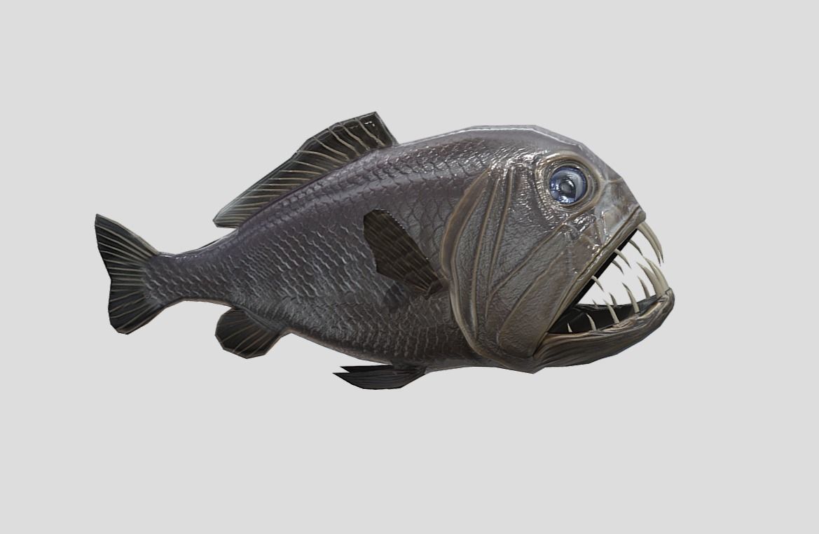 fangtooth Realistic Animated Low-poly 3D model_11