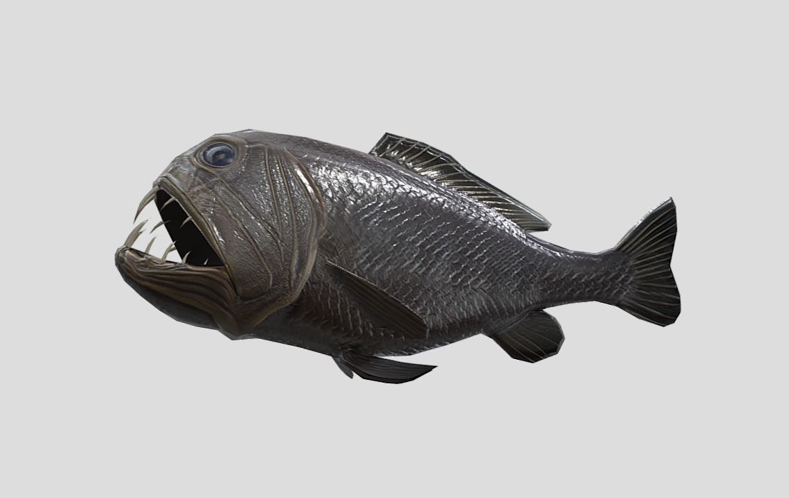 fangtooth Realistic Animated Low-poly 3D model_7