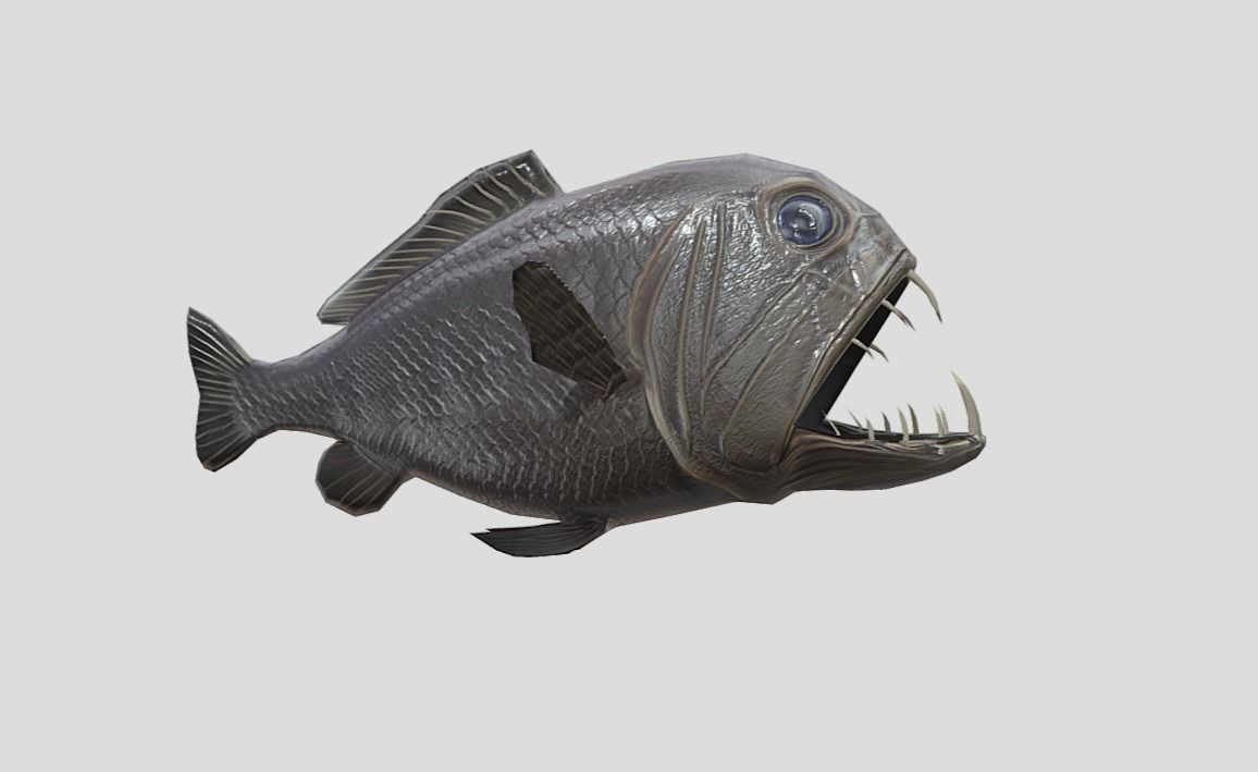 fangtooth Realistic Animated Low-poly 3D model_6
