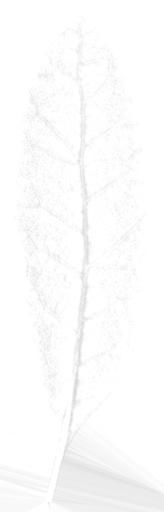 Stylized tree Low-poly 3D model_12