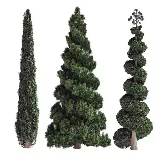 Decorative garden tree