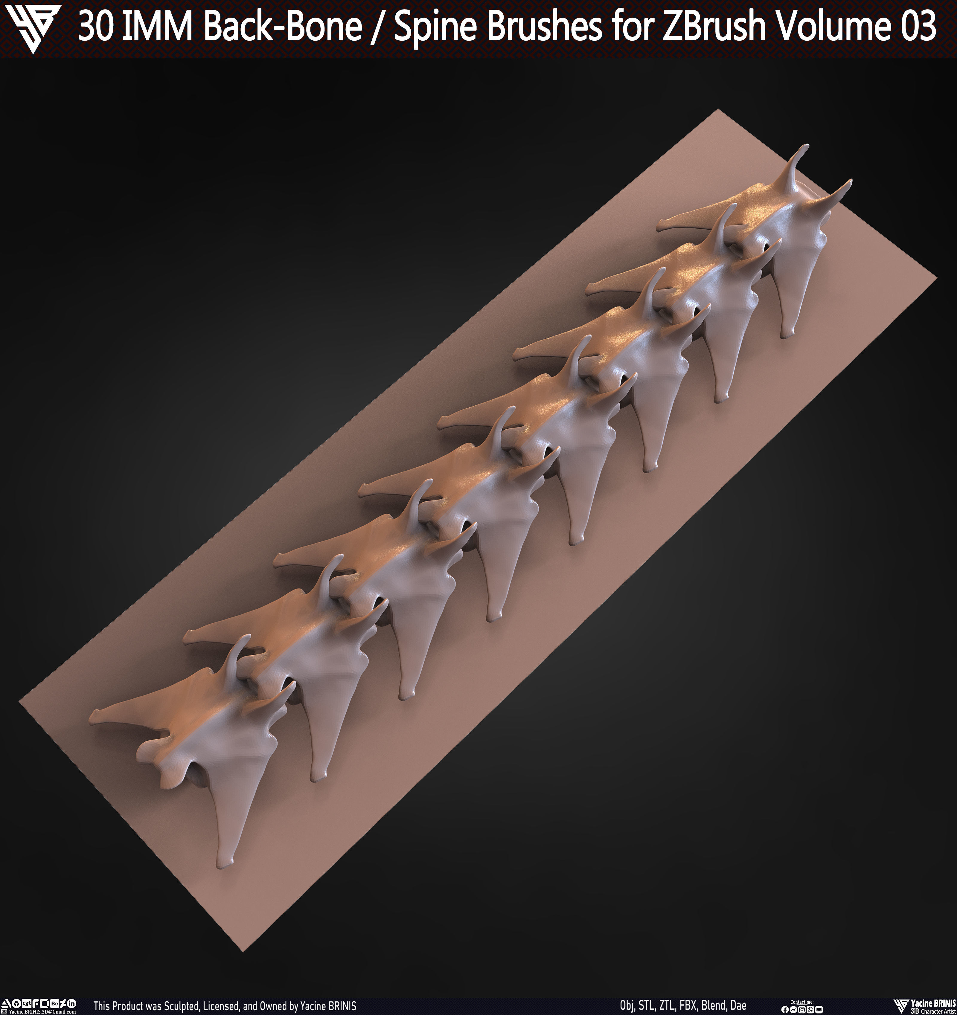 30 IMM Back-Bone - Spine ZBrush Brush Volume 03 Low-poly 3D model_71